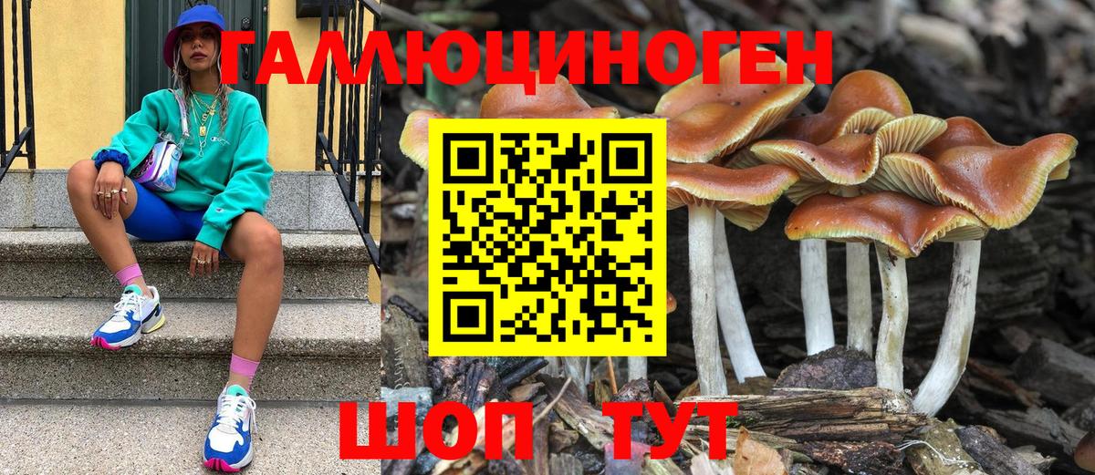 Галлюциногенные грибы прущие грибы Новочеркасск