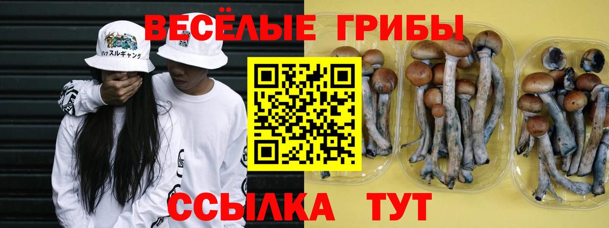 Новочеркасск  Псилоцибиновые грибы Psilocybine cubensis  Галлюциногенные грибы прущие грибы  Вход с VPN 